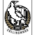 Collingwood Magpies 2